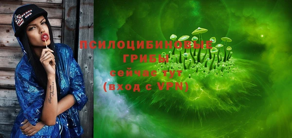 шишки Абдулино