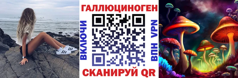 Псилоцибиновые грибы MAGIC MUSHROOMS  хочу наркоту  мега ТОР  Ачхой-Мартан 